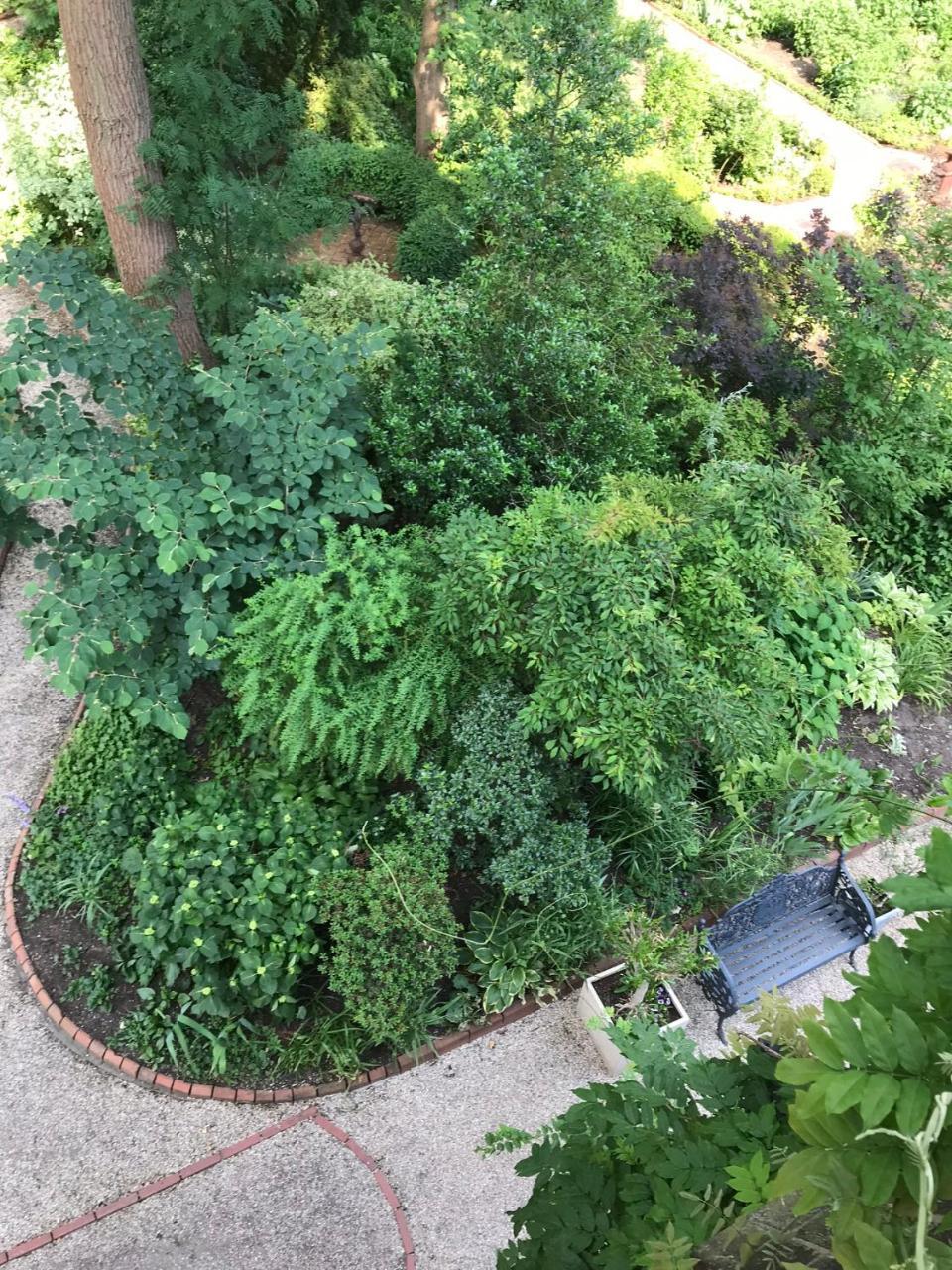 לובן Pension Villa Fortuna מראה חיצוני תמונה